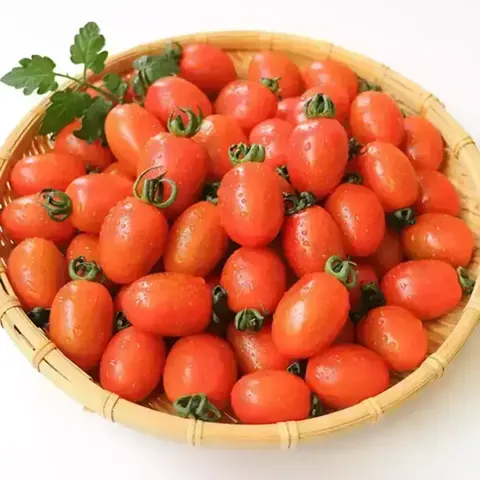 국내산 대추방울토마토 로얄과 2kg (9,150원/무료)