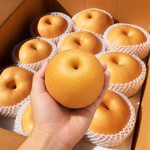 주프레쉬 햇 나주배 5kg 10,680원