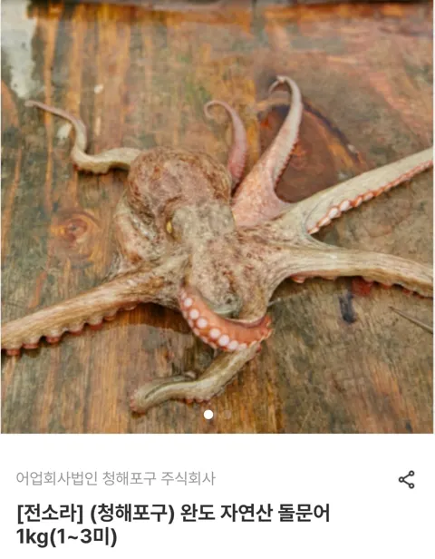 완도 자연산 돌문어 1kg(1~3미) 외 홍어 라이브 (17,860원/무료)