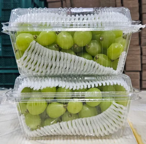 샤인머스켓 알알이팩 2kg (16,390원/무료)