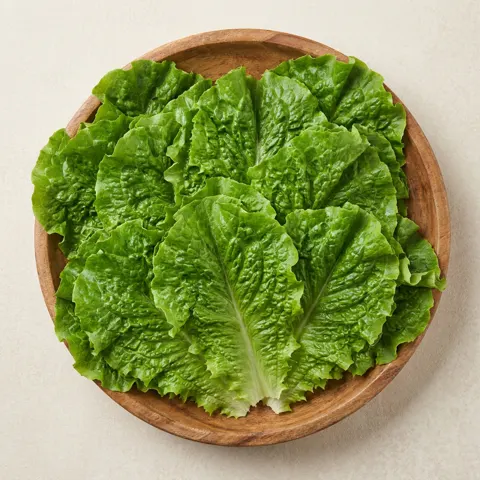 국내산 청상추 2kg 5,900원