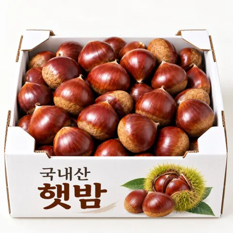 공주 햇밤 2kg 중과(9,990원/무배)
