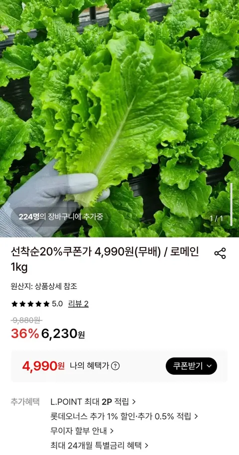 로메인 1kg (4,990원/무료)