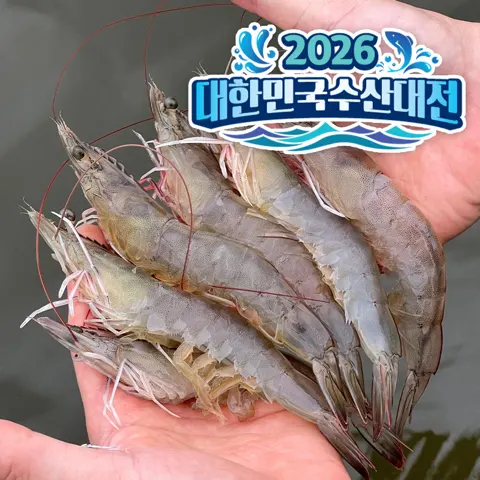 신안 활새우 1kg 28-34미