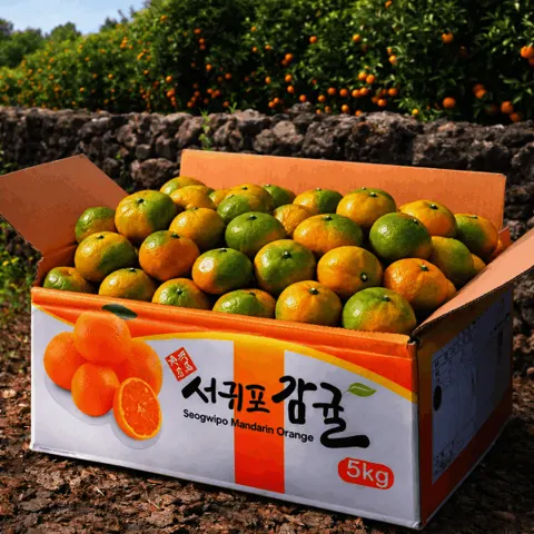 제주 감귤 5kg 중과 12브릭스 (11,930원/무료배송)
