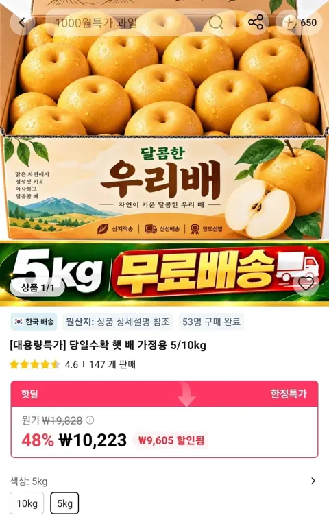 당일수확 햇 배 가정용 5kg (10,223원/무료)