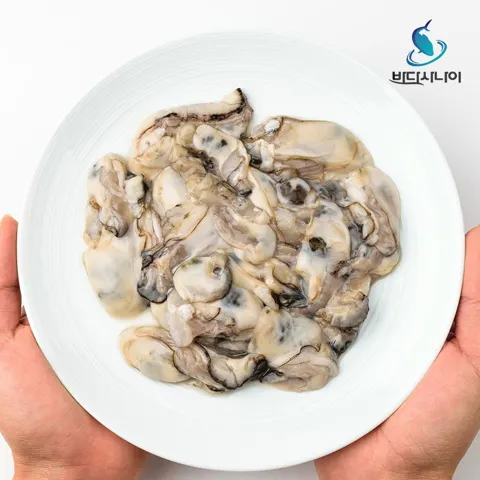 26년 제철 통영 생굴 1kg (13,040원/무료)