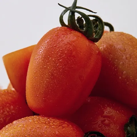 스테비아 토망고 500g x 4팩