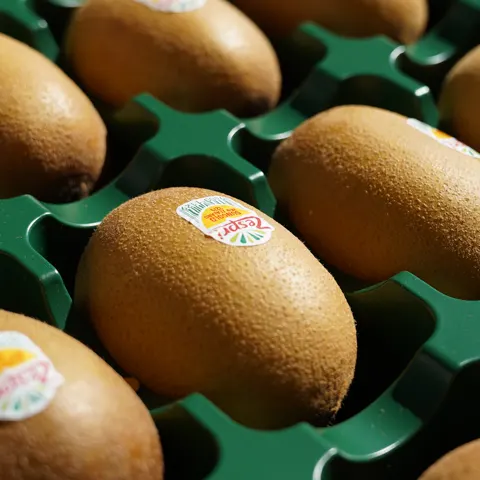 제스프리 썬골드키위 점보 25과 3.8kg (23,050원/무료)