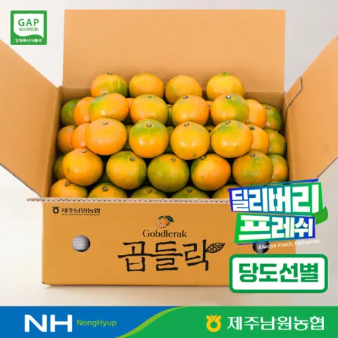 제주남원농협 유라 노지감귤 소과 2kg (9,900원/무료)
