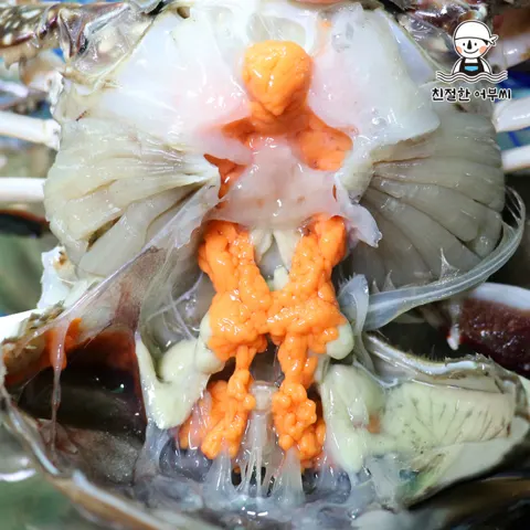 친절한어부씨 암꽃게 1kg 29,800원