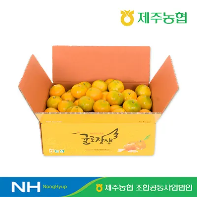 제주농협 하우스감귤 2kg+2kg 로얄과 (18,900원/무료)