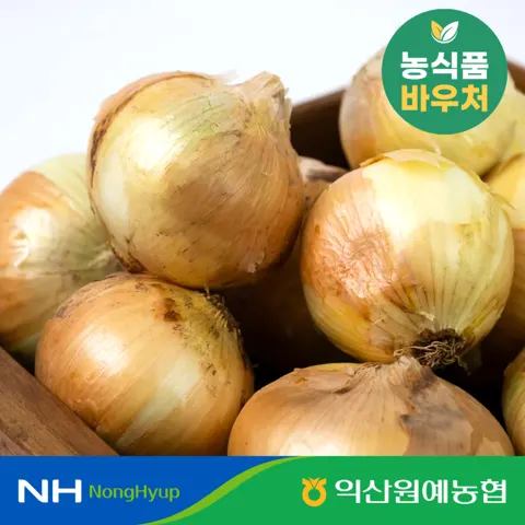 햇양파 5kg 대