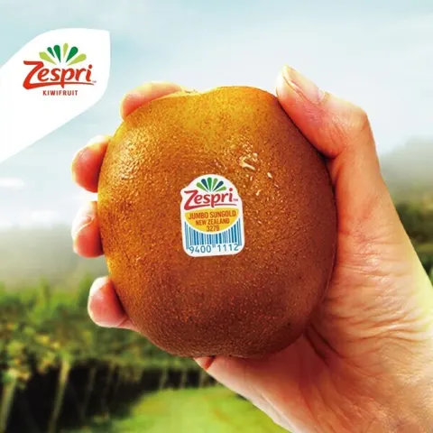 제스프리 썬 골드키위 자이언트 사이즈 총3.2kg (21입 개당 150g 내외)
