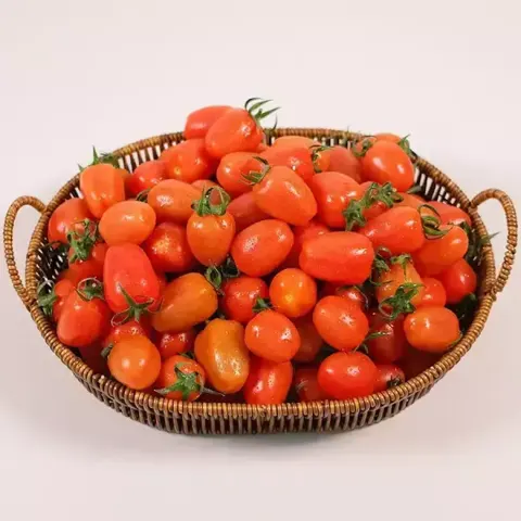 국내산 대추방울토마토 2kg 1-3번 혼합과 (9,310원/무료)
