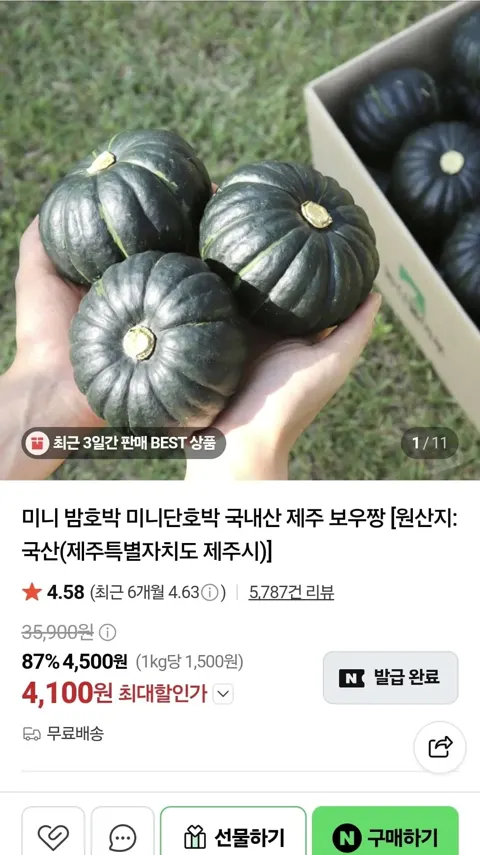 국내산 미니단호박 밤호박 5kg (9,100/무배)