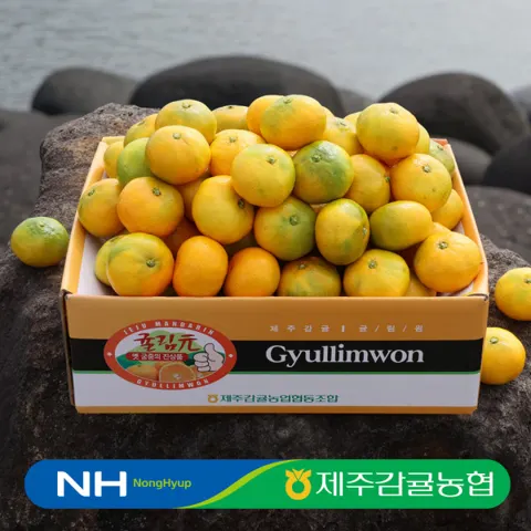 제주감귤농협 귤림원 감귤 4kg 중대과 (13,900원/무배)