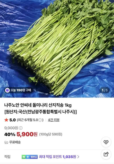 국내산 돌미나리 산지직송 1kg 5,900원