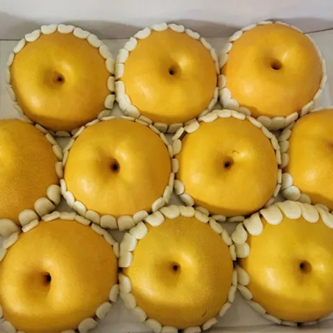 나주 가정용배 5kg (12,900원/무료)