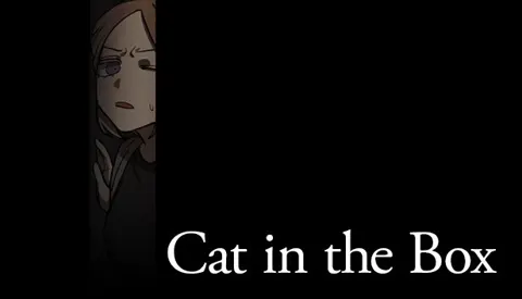 Cat in the Box