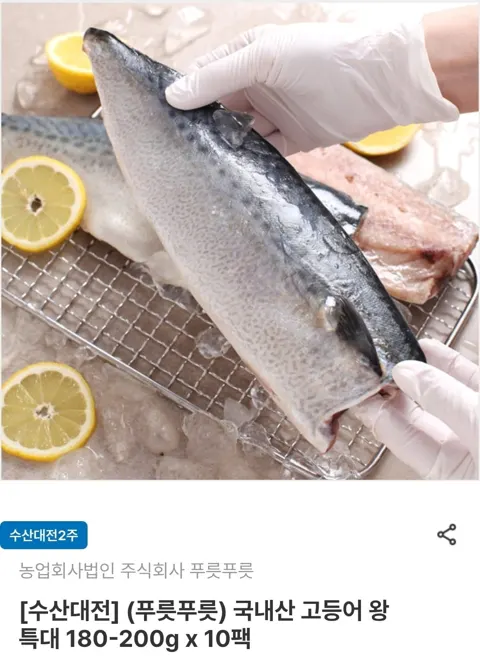 여수 고등어 왕특대 180~200g 10팩 (18,130원/무료)