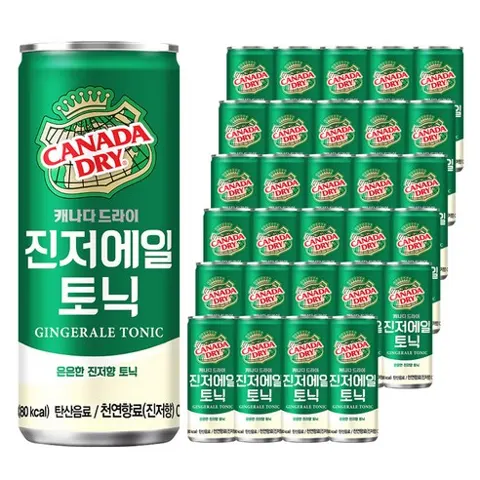 캐나다드라이 진저에일 토닉, 250ml,30개