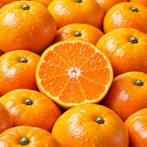 고당도 15Brix 제주 감귤 5kg 9,400원