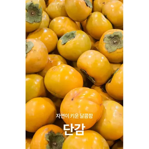 단감 5kg 산지직송 아삭한 단감 중대과 20수 내외 (19,380원/무배)