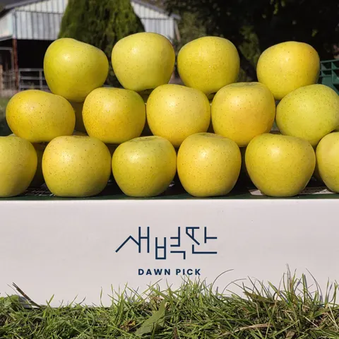 청송 시나노골드 사과 13Brix 이상 2kg 8260원