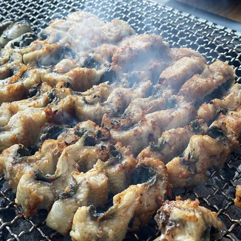 고창 풍천 장어 1kg+소스2종+초생강 (15,120원/무료)