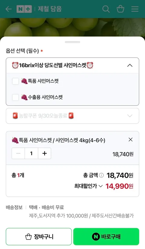 (농할20%) 국내산 고당도 샤인머스켓 특품 4kg 4-6수 (14,990원/무료)