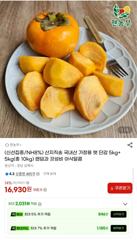 가정용 햇 단감 10kg (16,930원/무료)