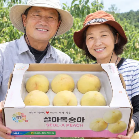 백도 설아복숭아 가정용 1.5kg (18,900원 / 무배)