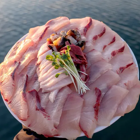 국내산 제철 방어회 필렛 원물 8kg이상 손질 후 500g