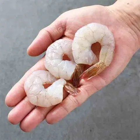 칵테일 새우 대 900g 55-70미 (14,200원/무료)
