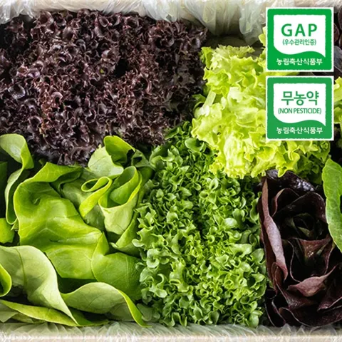유러피안 샐러드채소 1kg (3-6종 랜덤발송)