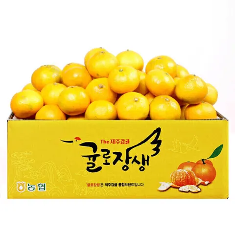 귤로장생 노지감귤 4.5kg 로얄과