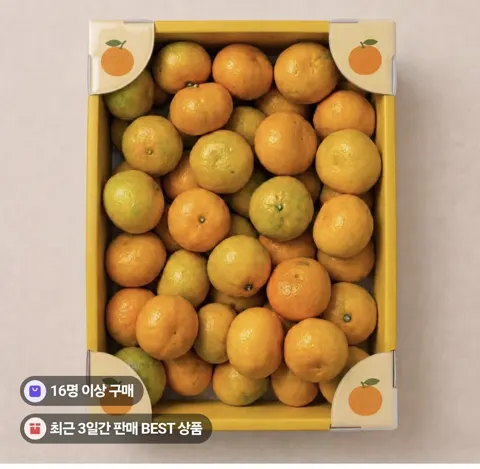 제주 극조생귤10kg (11,900원/무료)
