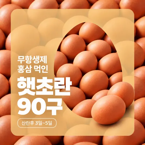 무항생제 햇초란 90구 9,900원 (산란후 3일~5일)