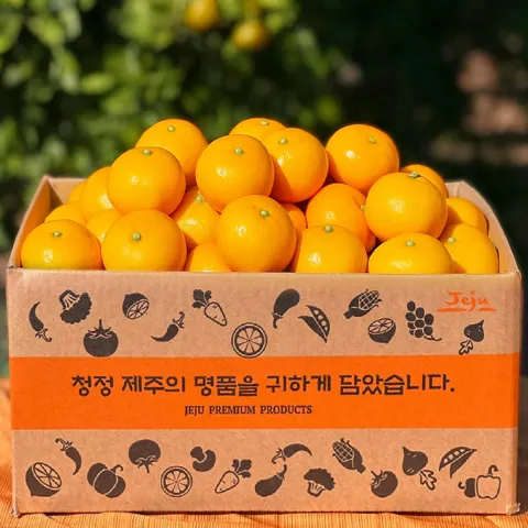 제주 타이벡감귤 2.5kg