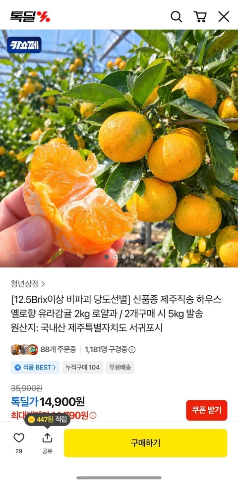 12.5Brix이상 제주직송 유라감귤 2.5kg