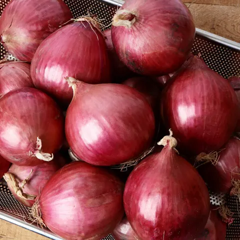 무안 자색양파 3kg