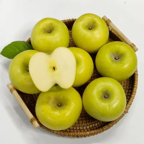 시나노골드 사과 5kg (11,530원/무배)