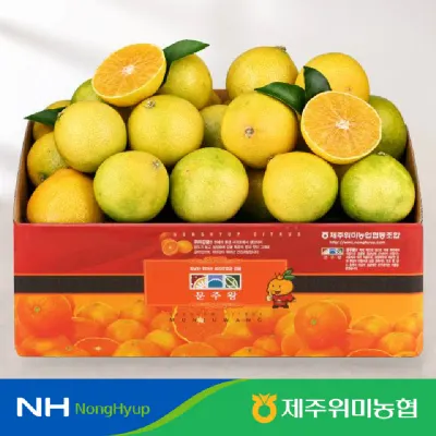 제주 황금향 당도선별 벌크형 3kg(18-24개입) (11,900원/무료)