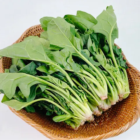 국내산 제철 시금치 1kg (8,700원/무료)