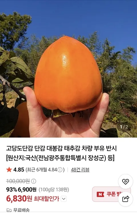 고당도 대봉감 반시 5kg (9,830원/무료)