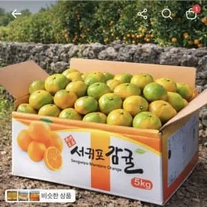 서귀포 감귤, 12brix 초고당도, 10kg, 1박스ㅡ24,500원