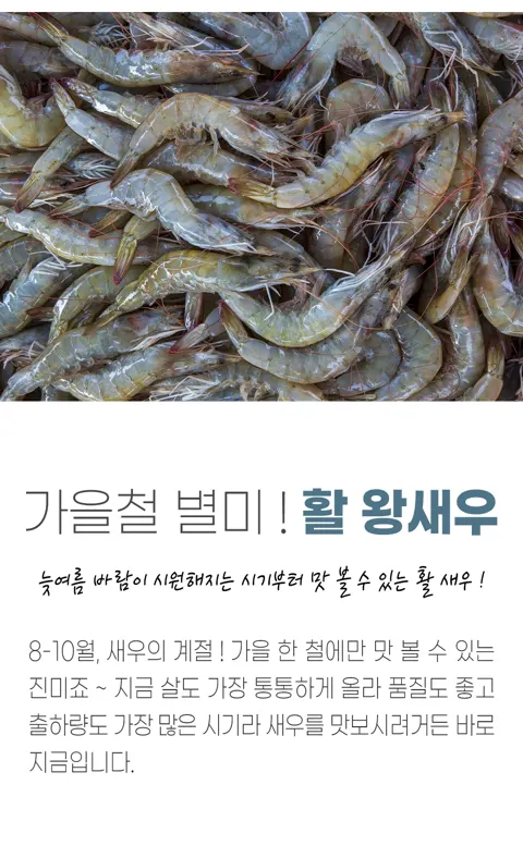 신안 활다리새우 1kg 28미 내외