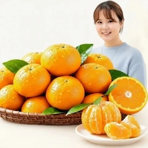 노지감귤 10kg 로얄과(10,880/무료)