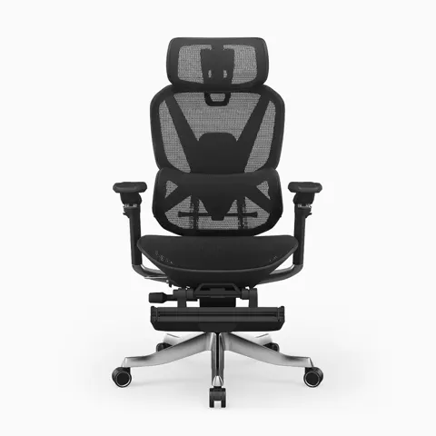 올즈 알티오 MAX 2 color (그레이/블랙)